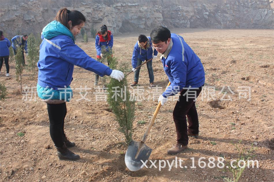 艾普利鳳凰山植樹，為美麗新鄉(xiāng)添新綠(圖2)